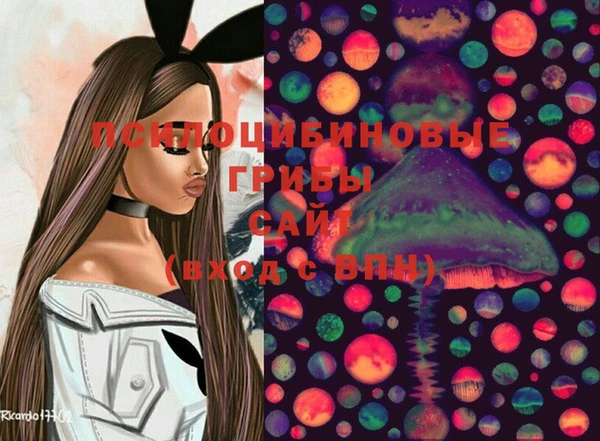 амфетамин Осинники